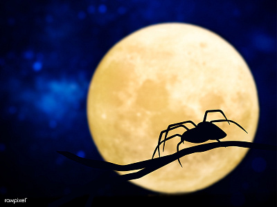 Spider silhouette over a full moon