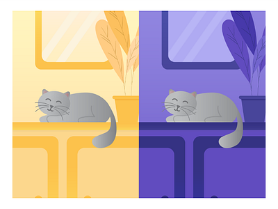 Cute Cat animal design graphic design illustration