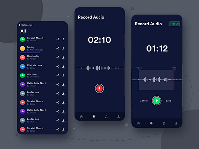 Audio Recording App UI