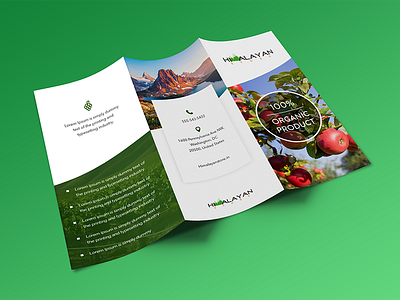 brochure design brochure clean design flayers flyers green himalaya organic template