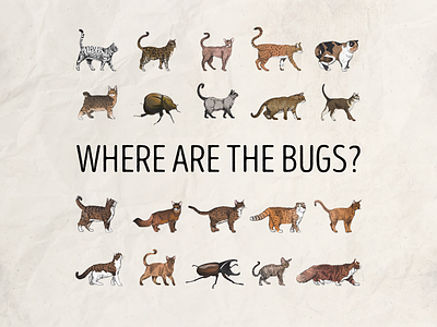 Where are the bugs? buggy bugs cat cats design drowing illustration poster art posters prints technology tester testing texture vector