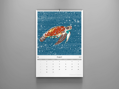 seaturtle adobe illustrator august calendar design design illustration seaturtle vector