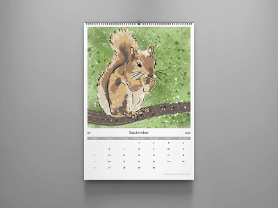 squirrel adobe illustrator calendar design design illustration squirrel vector