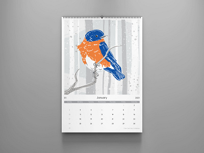 January adobe illustrator calendar design design illustration vector