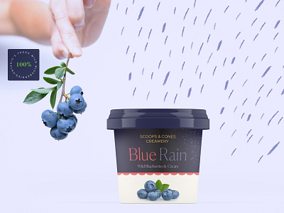 Ice Cream Anyone? design ice cream illustration mockup packaging photoshop