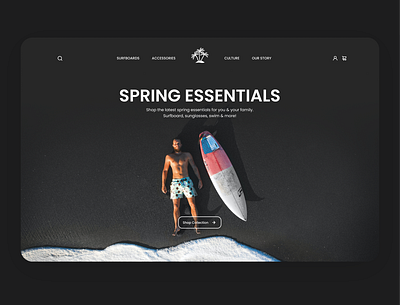 Surfboards Store Web Design branding clean design icon logo logodesign surf surfing ui ui ux ui design web design website website design