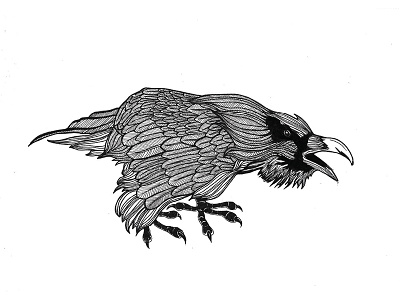 Stud illustration raven