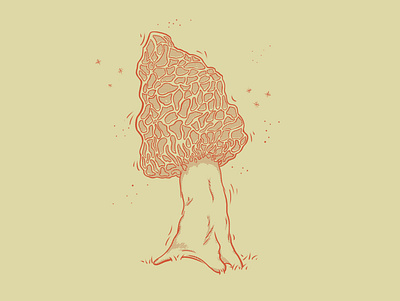 Morel design graphic design illustration morel mushroom nature