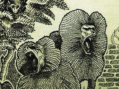 Baboons baboons gluttony illustration penink