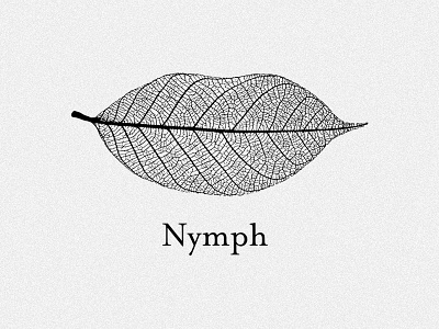 Nymph brand identity design illustration logo logotype vector