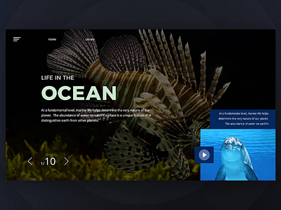 Life in the ocean design designer ui ui design uiux ux