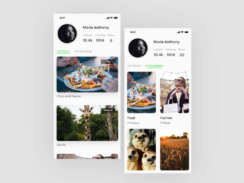 User Profile