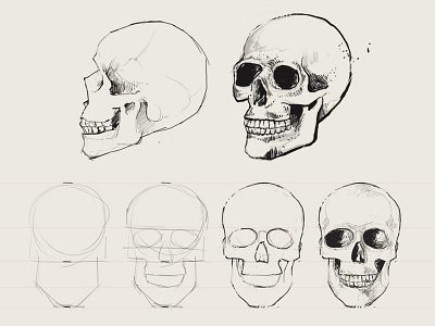 How to Draw a Skull