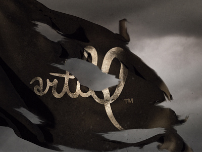 Pirate Flag 3d branding c4d cinema4d digital flag logo pirates rendering