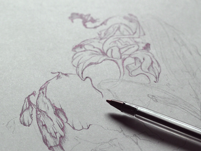 Enchanted Forest analog black flowers leaves sketch wedding wip