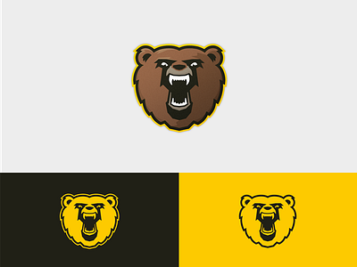 Bear Logo animal bear brand clean icon logo prototyping sport symbol vector