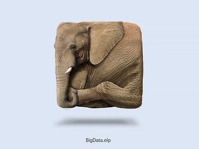 Elephant Icon (Free Download) big data download elephant free icon icondesign nature ui ux