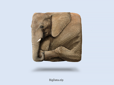 Elephant Icon (Free Download)