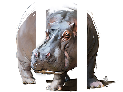 Hippo animal art digital hippo illusion illustration photoshop zoo