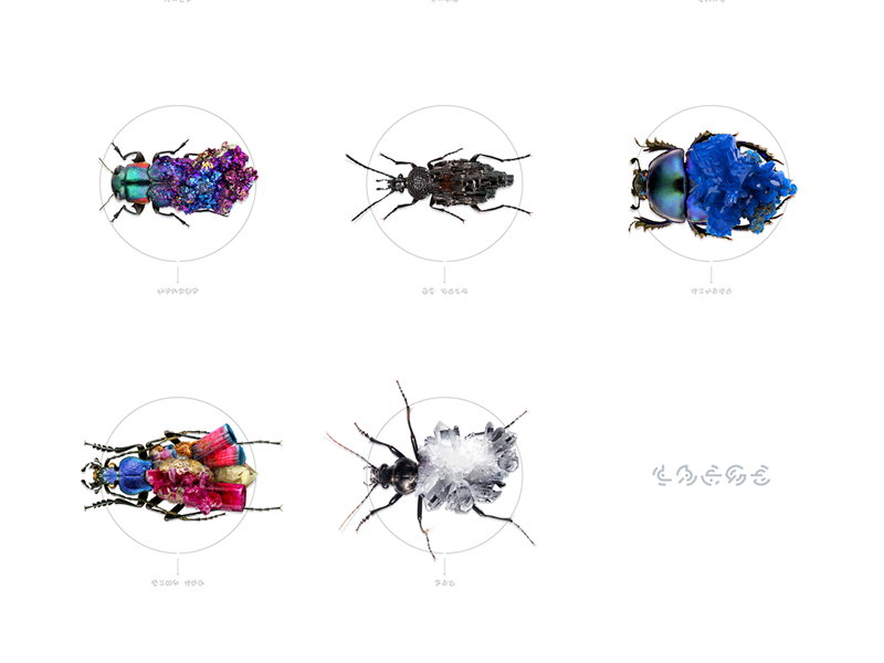 Bugs + Stones retouching fantasy nature photo diamond stones bug illustration