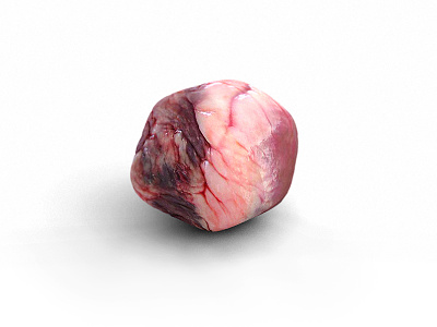 a piece of digital meat 3d 4d cinema digital meat rendering textur