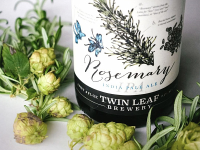 Twin Leaf Rosemary IPA Label Design asheville beer hops illustration ipa label packaging scientific