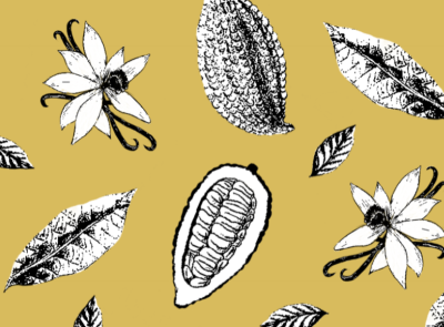 Cacao Pattern beans branding cacao chocolate cocoa colored illustration sketch sketching white yellow