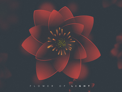 Flower Of Light