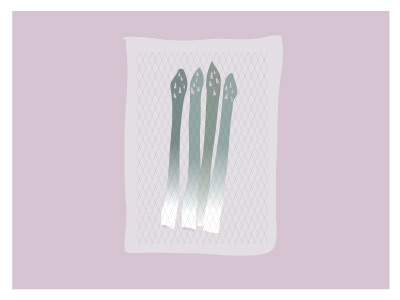 Vacuumed Asparagus bookjacket cooking food illustrattion leftloft vector
