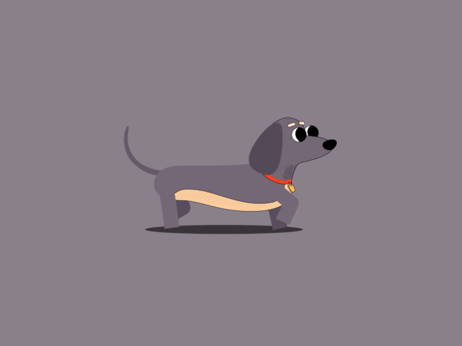 Walk-dog after effects animation animation design dog motion animation