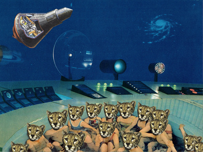 Wild Journey collage lions marina molares panthers pumas space spaceship tigers vintage