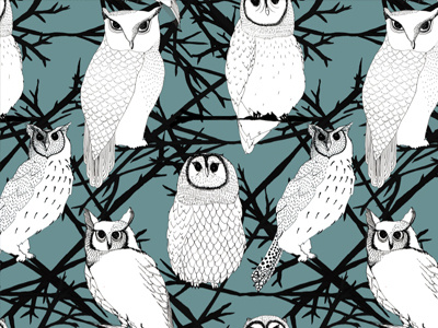 The Night Watchers animals birds branches fabric illustration night owls pattern surface wallpaper