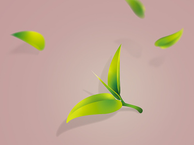 tea leaf design illustration vector