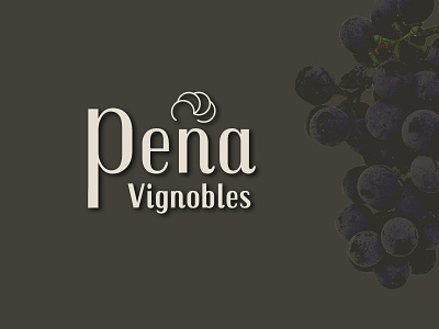 vineyard logo branding design identitiy logo typography web