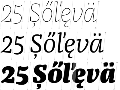 Franziska Italics Master Instances cursive design font instances interpolation italic letter serif slab text typeface weights