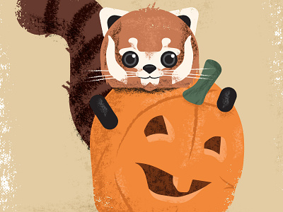 Boo at the Zoo - Red Panda halloween illustration jack o lantern pumpkin red panda