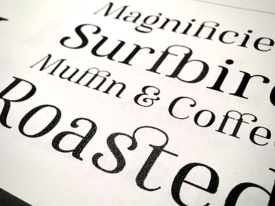 Famosa Specimen ampersand decoration female font ligature myfonts serif specimen type typography