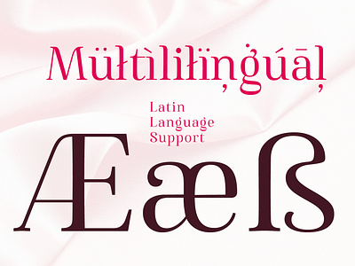 Famosa design diacritics eszett european font fonts high contrast latin multilingual serif serif font serifs shape stylish font type type design typedesign typeface typography