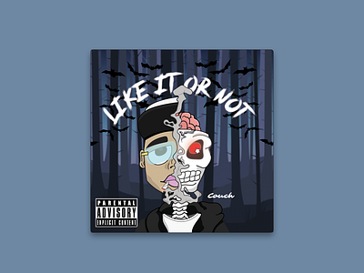 Like It Or Not: Cover Art