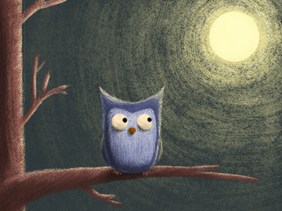 Owl children book illustration owl