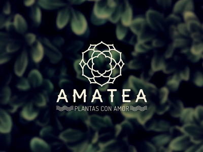 Amatea branding design graphic design icon logo plants
