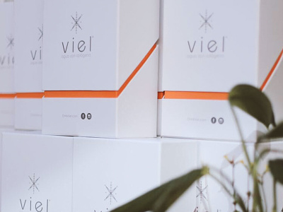 Viel box color design graphic design package design packaging
