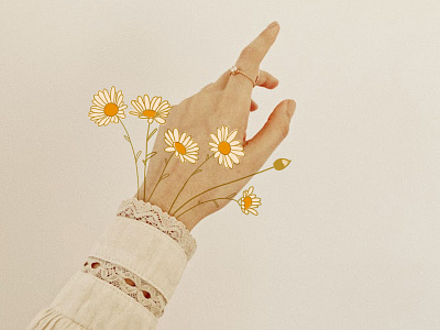 Daisies boho daisy flower hand illustration minimal