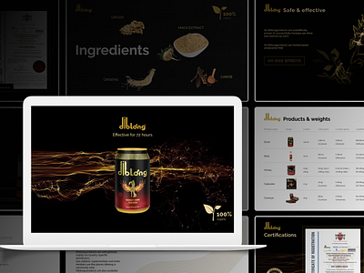 Diblong presentation branding presentation ui visual design