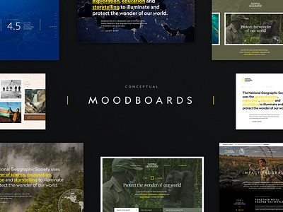 Conceptual Moodboards branding concept cx design identity moodboards responsive design typography ui ux web web design