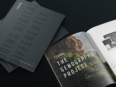 Coffee Table Book book branding collateral design digital layout logo print ui ux