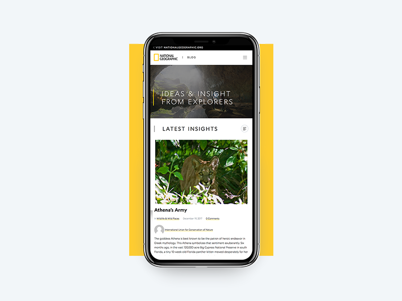 National Geographic | Blog tablet mobile responsive web content blog exploration science design branding