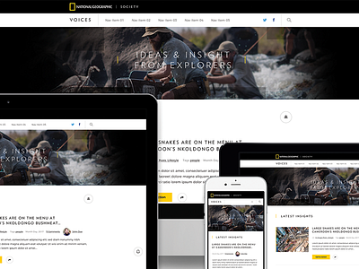 NG Voices - Blog Design blog branding content design exploration layout responsive science web