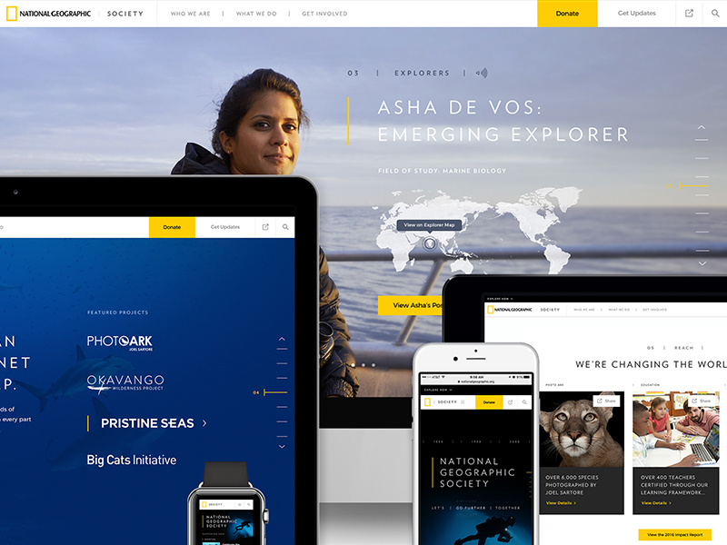 Flexible Design System web ux ui system interface style guide ui kit guidelines design digital brand