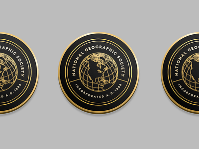 NGS Pin Concept badge branding design globe icon identity illustration logo patch pin typography world